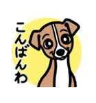 【レッド】1年中使える♡パピーイタグレ（個別スタンプ：3）