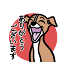 【レッド】1年中使える♡パピーイタグレ（個別スタンプ：5）