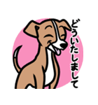 【レッド】1年中使える♡パピーイタグレ（個別スタンプ：6）