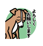 【レッド】1年中使える♡パピーイタグレ（個別スタンプ：9）