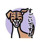 【レッド】1年中使える♡パピーイタグレ（個別スタンプ：14）