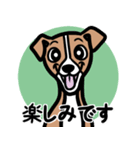 【レッド】1年中使える♡パピーイタグレ（個別スタンプ：16）