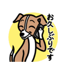 【レッド】1年中使える♡パピーイタグレ（個別スタンプ：17）