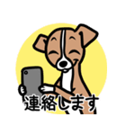 【レッド】1年中使える♡パピーイタグレ（個別スタンプ：24）