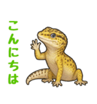 レオパ❤大好き日常のスタンプ（個別スタンプ：2）