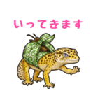 レオパ❤大好き日常のスタンプ（個別スタンプ：6）