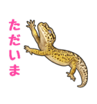 レオパ❤大好き日常のスタンプ（個別スタンプ：8）