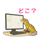 レオパ❤大好き日常のスタンプ（個別スタンプ：9）