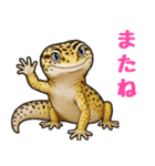 レオパ❤大好き日常のスタンプ（個別スタンプ：10）
