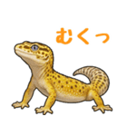 レオパ❤大好き日常のスタンプ（個別スタンプ：14）