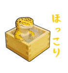レオパ❤大好き日常のスタンプ（個別スタンプ：20）