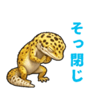 レオパ❤大好き日常のスタンプ（個別スタンプ：23）