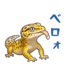 レオパ❤大好き日常のスタンプ（個別スタンプ：29）