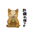 毎日使える柴犬さんのLineスタンプ（個別スタンプ：6）