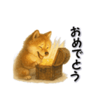 毎日使える柴犬さんのLineスタンプ（個別スタンプ：7）