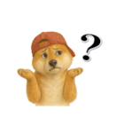 毎日使える柴犬さんのLineスタンプ（個別スタンプ：22）