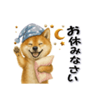 毎日使える柴犬さんのLineスタンプ（個別スタンプ：23）