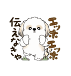 動くシーズー犬2025『頑張って伝えて！』12（個別スタンプ：1）