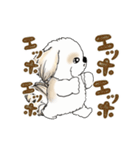 動くシーズー犬2025『頑張って伝えて！』12（個別スタンプ：2）