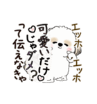 動くシーズー犬2025『頑張って伝えて！』12（個別スタンプ：3）