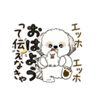 動くシーズー犬2025『頑張って伝えて！』12（個別スタンプ：5）
