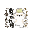 動くシーズー犬2025『頑張って伝えて！』12（個別スタンプ：6）