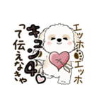 動くシーズー犬2025『頑張って伝えて！』12（個別スタンプ：7）