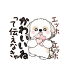 動くシーズー犬2025『頑張って伝えて！』12（個別スタンプ：8）