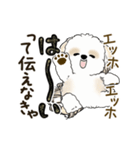 動くシーズー犬2025『頑張って伝えて！』12（個別スタンプ：10）