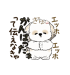 動くシーズー犬2025『頑張って伝えて！』12（個別スタンプ：13）