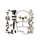 動くシーズー犬2025『頑張って伝えて！』12（個別スタンプ：14）