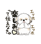 動くシーズー犬2025『頑張って伝えて！』12（個別スタンプ：15）