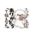 動くシーズー犬2025『頑張って伝えて！』12（個別スタンプ：16）