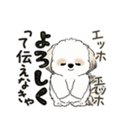 動くシーズー犬2025『頑張って伝えて！』12（個別スタンプ：19）