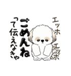 動くシーズー犬2025『頑張って伝えて！』12（個別スタンプ：20）
