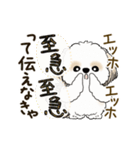 動くシーズー犬2025『頑張って伝えて！』12（個別スタンプ：21）