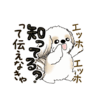 動くシーズー犬2025『頑張って伝えて！』12（個別スタンプ：22）
