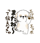 動くシーズー犬2025『頑張って伝えて！』12（個別スタンプ：23）
