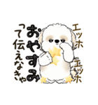 動くシーズー犬2025『頑張って伝えて！』12（個別スタンプ：24）