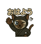 忍ネコのごあいさつスタンプ（個別スタンプ：4）