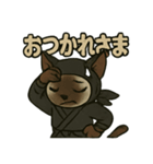 忍ネコのごあいさつスタンプ（個別スタンプ：5）