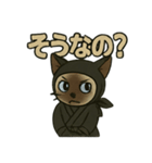 忍ネコのごあいさつスタンプ（個別スタンプ：19）