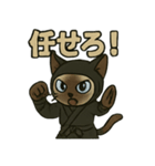 忍ネコのごあいさつスタンプ（個別スタンプ：21）