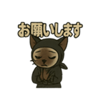 忍ネコのごあいさつスタンプ（個別スタンプ：22）