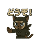 忍ネコのごあいさつスタンプ（個別スタンプ：23）