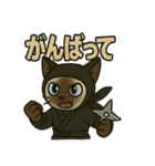 忍ネコのごあいさつスタンプ（個別スタンプ：27）
