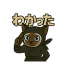 忍ネコのごあいさつスタンプ（個別スタンプ：29）