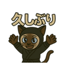 忍ネコのごあいさつスタンプ（個別スタンプ：35）