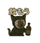 忍ネコのごあいさつスタンプ（個別スタンプ：36）