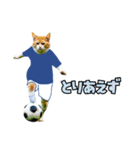 ニャンコのサッカー 猫 ネコ 日常（個別スタンプ：3）